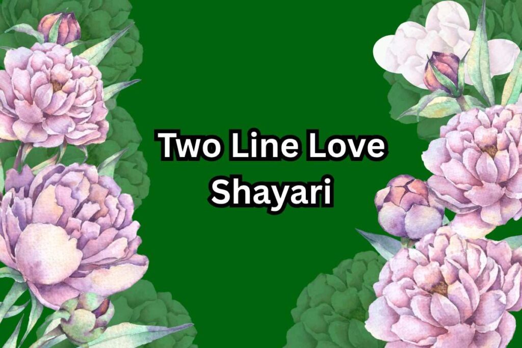150+ 2 लाइन लव शायरी - Two Line Love Shayari In Hindi 2026 ...