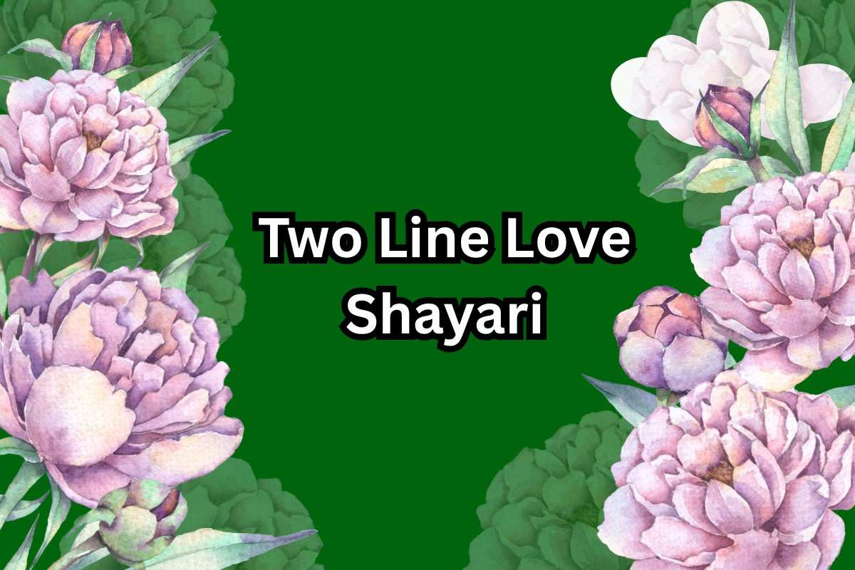 Two Line Love Shayari